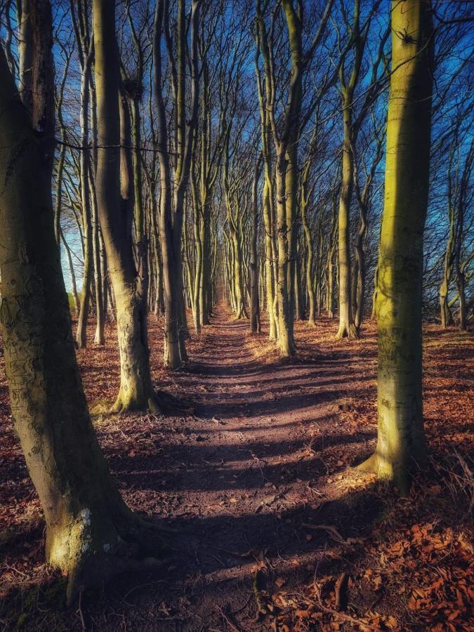 Вилла Ostseehaus Am Naturstrand - Arkonablick Varnkevitz Экстерьер фото